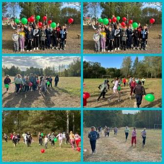 Запись без названия 3008